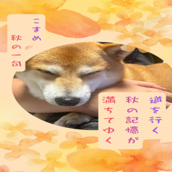 thumbnail_img
