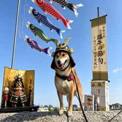 thumbnail_img