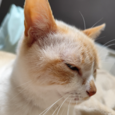 profile_img