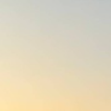 profile_img